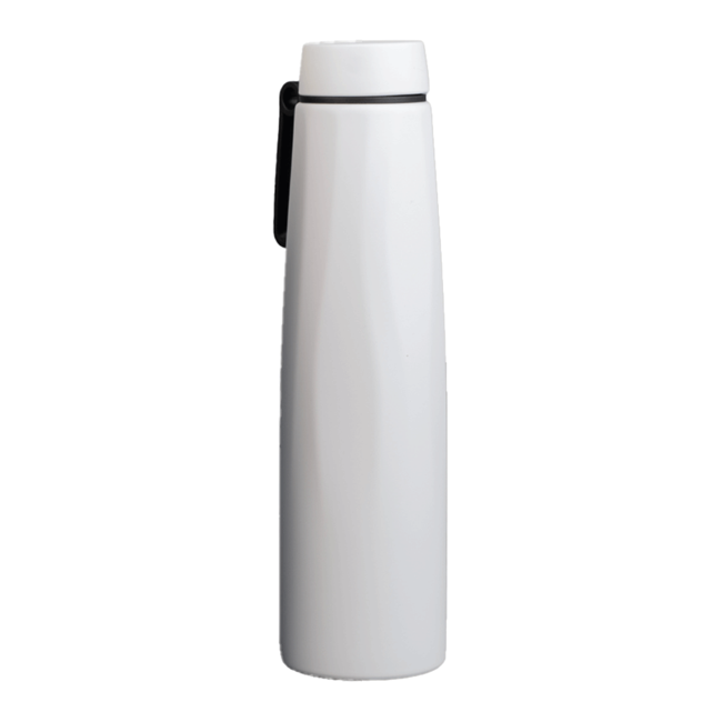 Calypso Plus