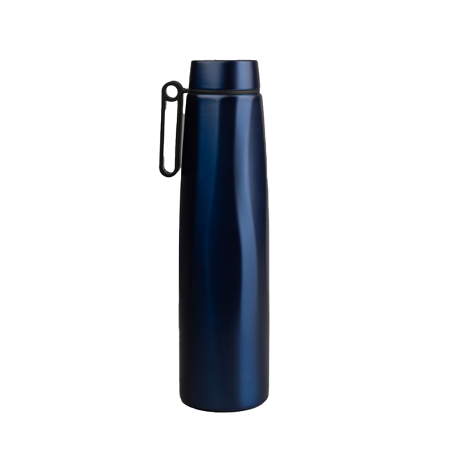 Calypso Plus