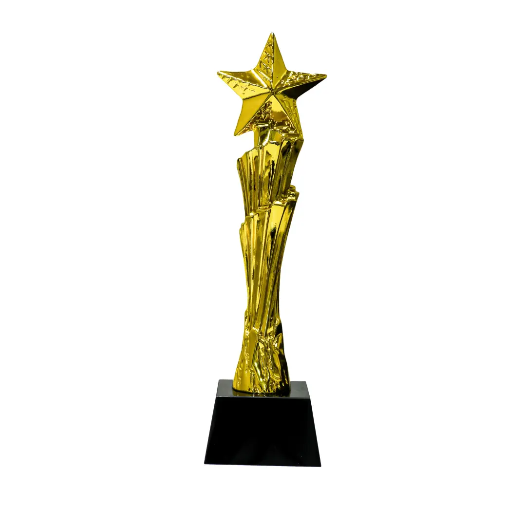 Vertical Star Gold Recognition Award